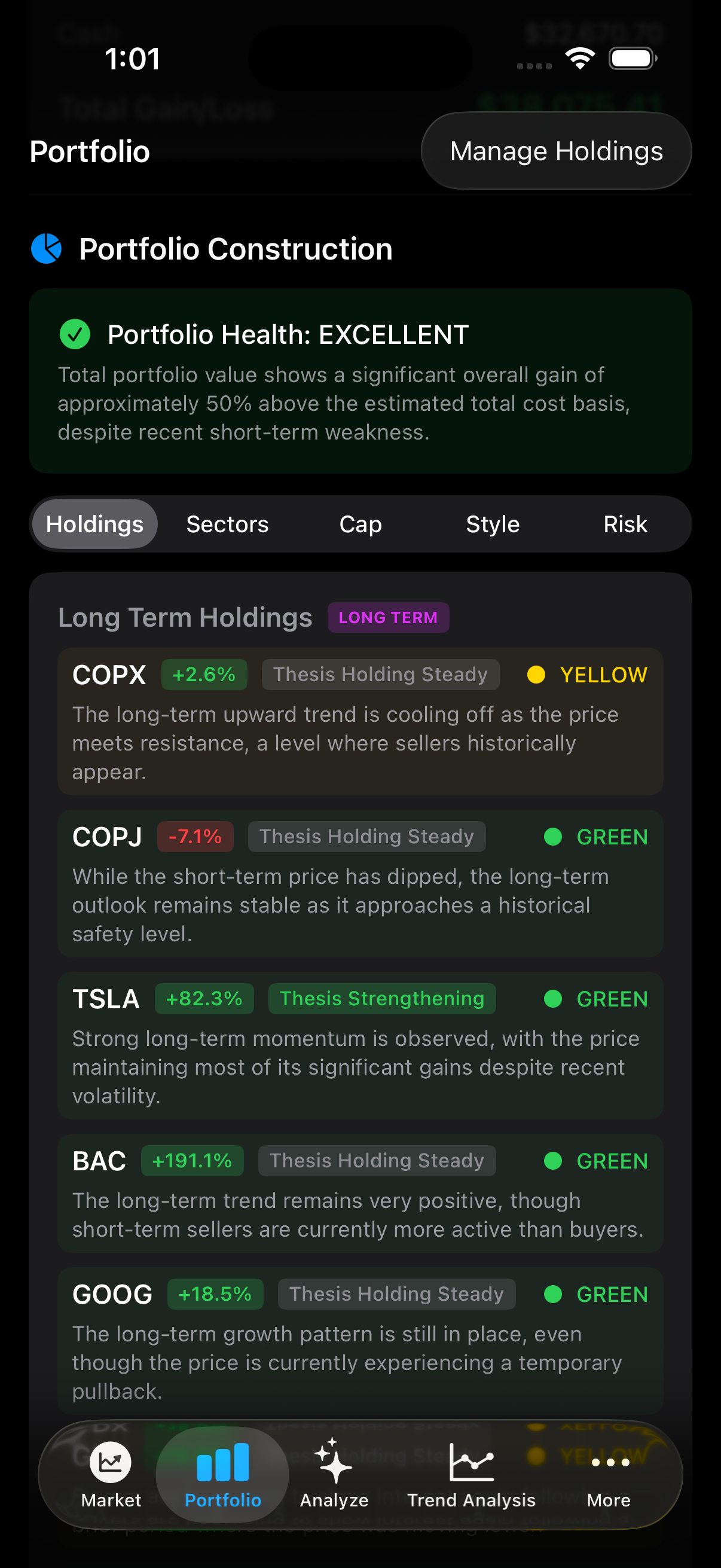 Portfolio construction and holdings screen